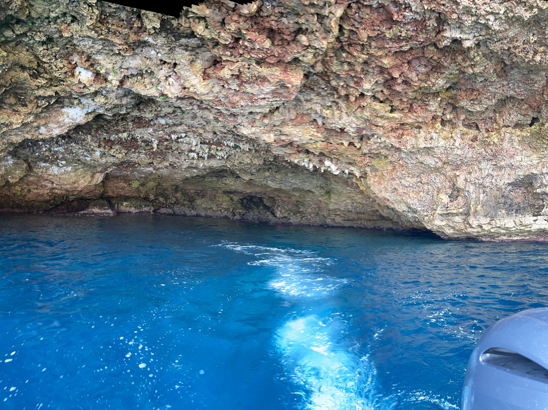 BlackLizard Boat Tours-Biniancolla必去景点