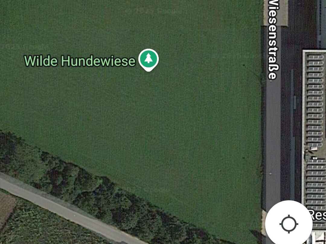 Wilde Hundewiese