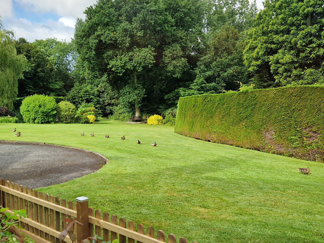 Windwhistle Farm主图