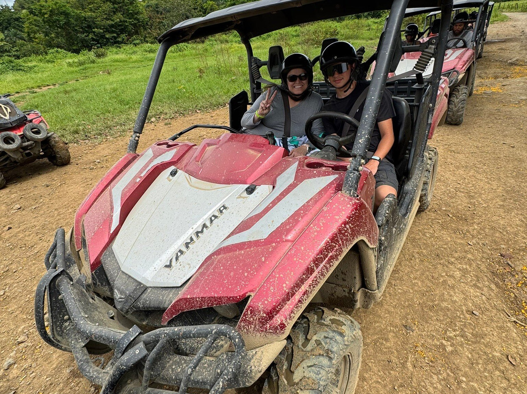 Rainforest & Ocean View Inn at Hacienda Carabali主图