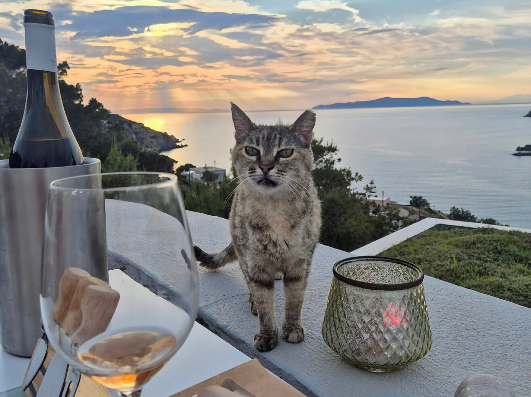 Pino Di Loto Boutique Bed And Breakfast主图