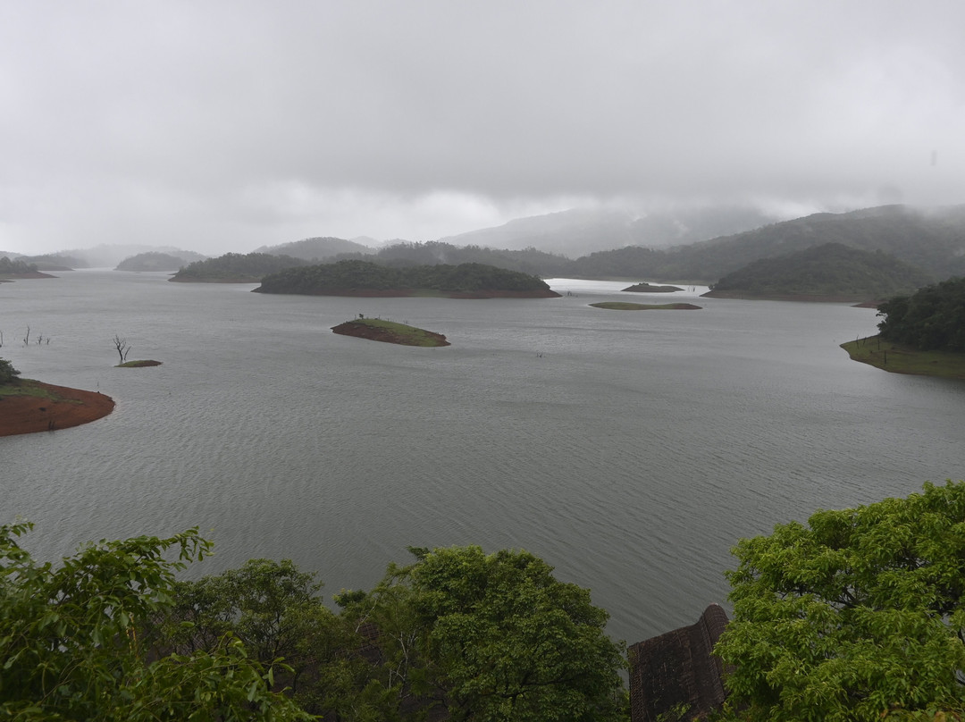 Mountain Shadows Resort, Wayanad主图