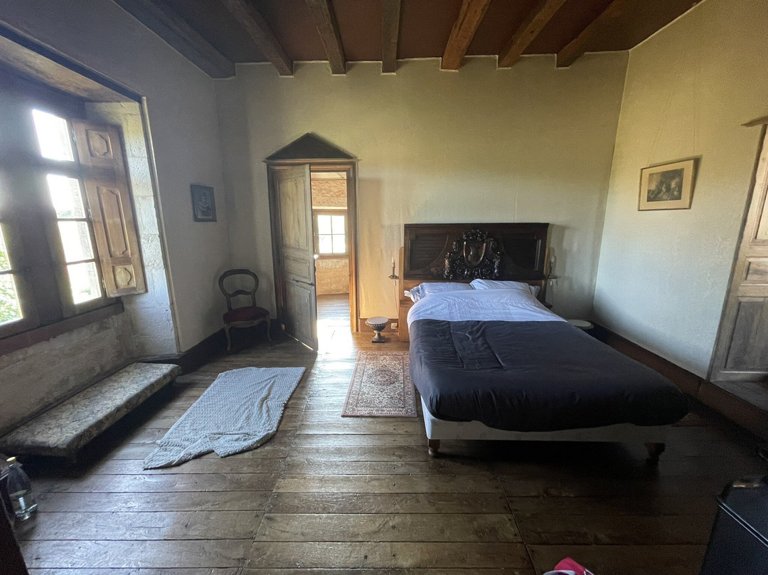 Château De Cibioux主图