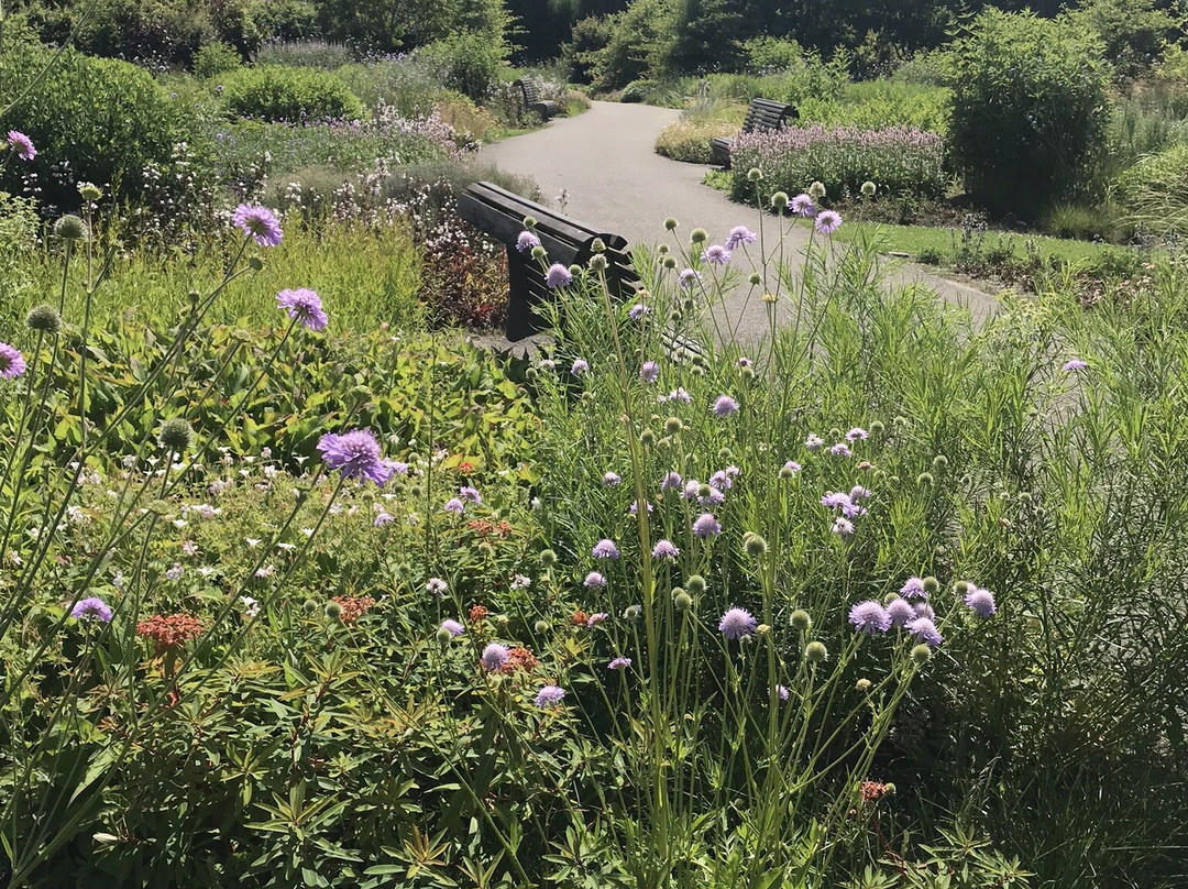 Maximapark Utrecht-Vleuten必去景点