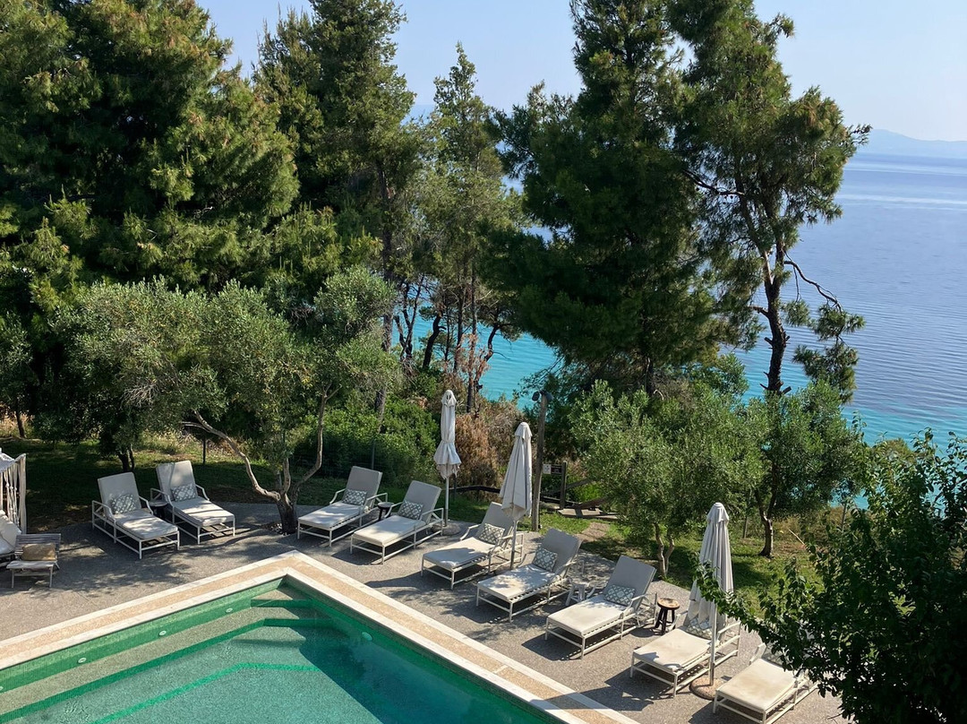 Elies 33 Bio Retreat主图