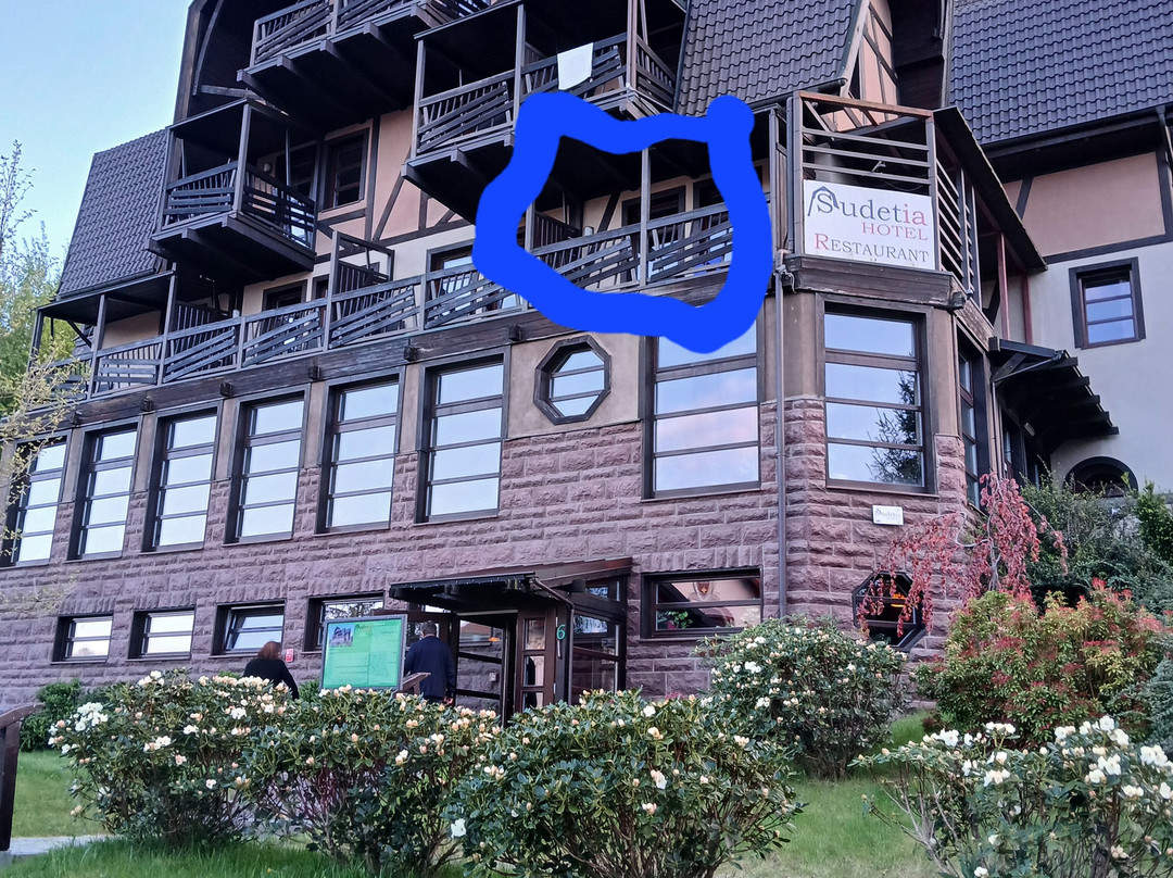 Sudetia Hotel主图