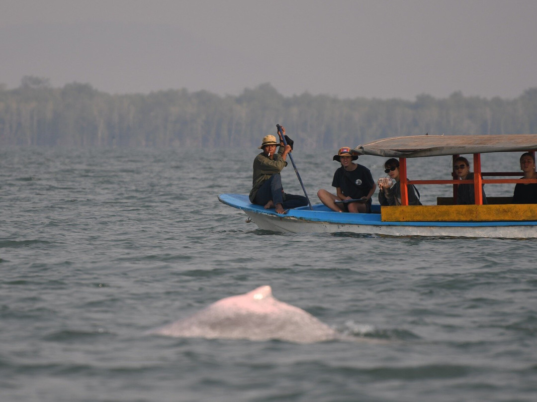 Kampot Dolphin Ecotours | កំពតដូលហ្វីនអេកូធួរ-贡布必去景点