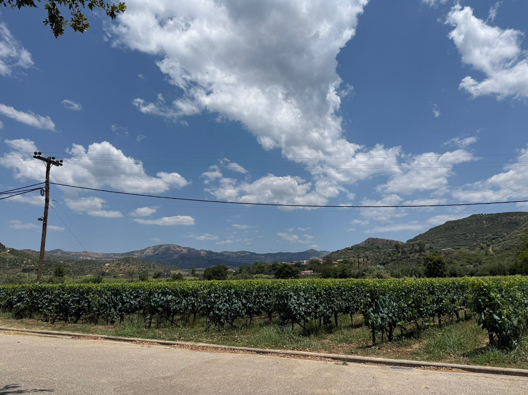 Olympia Land Winery-奥林匹亚必去景点