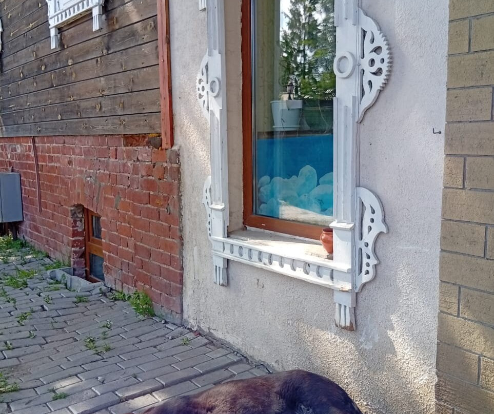 Liteishhika Nikulicheva Guesthouse主图