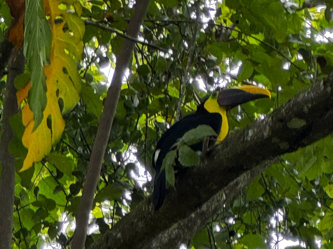 Rancho La Merced National Wildlife Refuge-乌维塔必去景点
