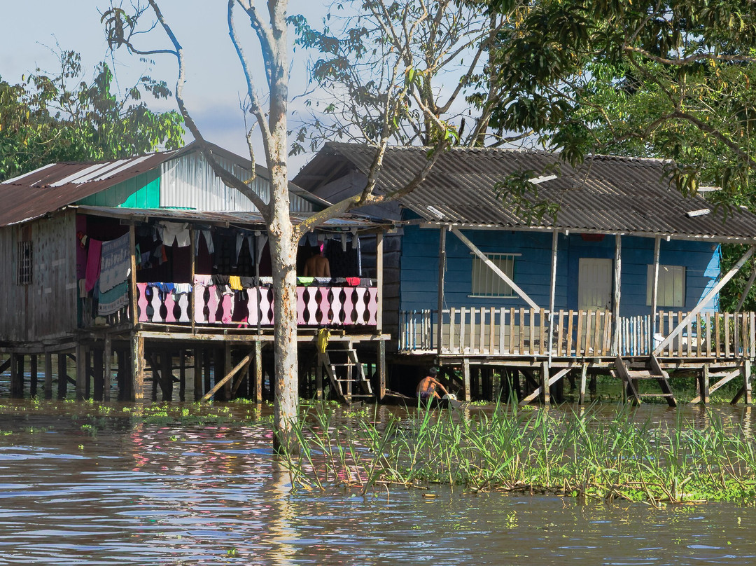 El Jardin de la Victoria Regia-莱蒂西亚必去景点