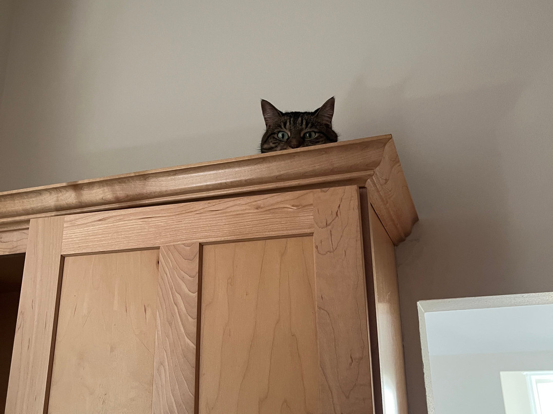 Elusive Escape Rooms-威斯康星峡谷必去景点