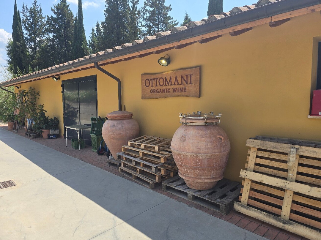 Azienda Agricola Ottomani