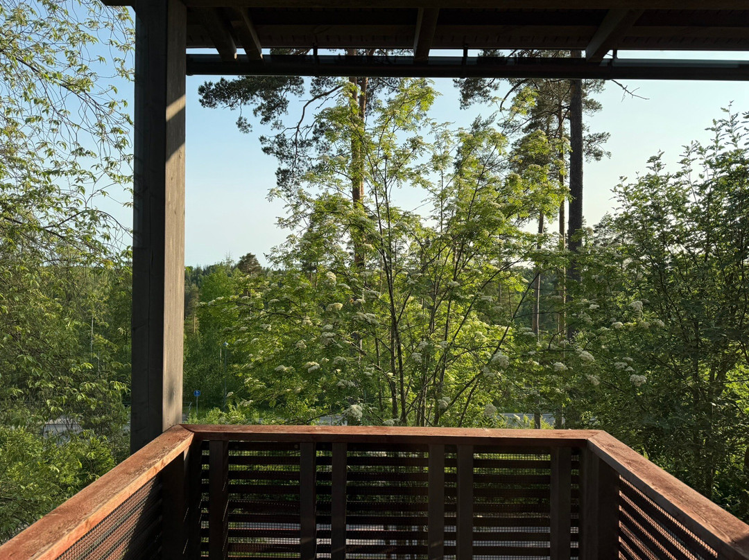 Haltia Lake Lodge Nature Boutique Hotel & Glamping主图