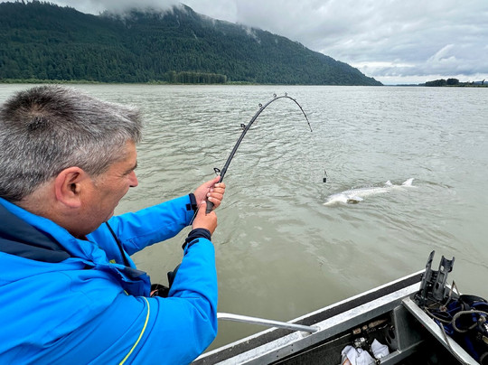 Sturgeon Hunter-奇利瓦克必去景点