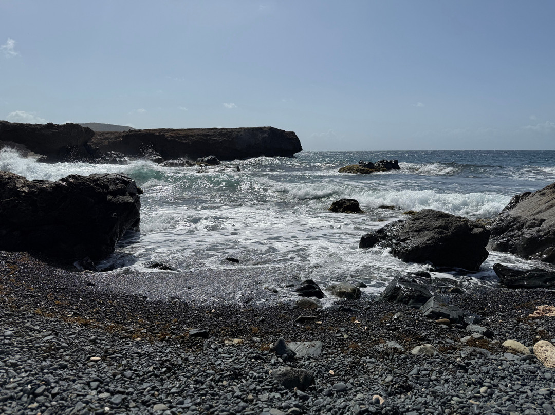 Red Sail Sports Aruba-奥腊涅斯塔德必去景点