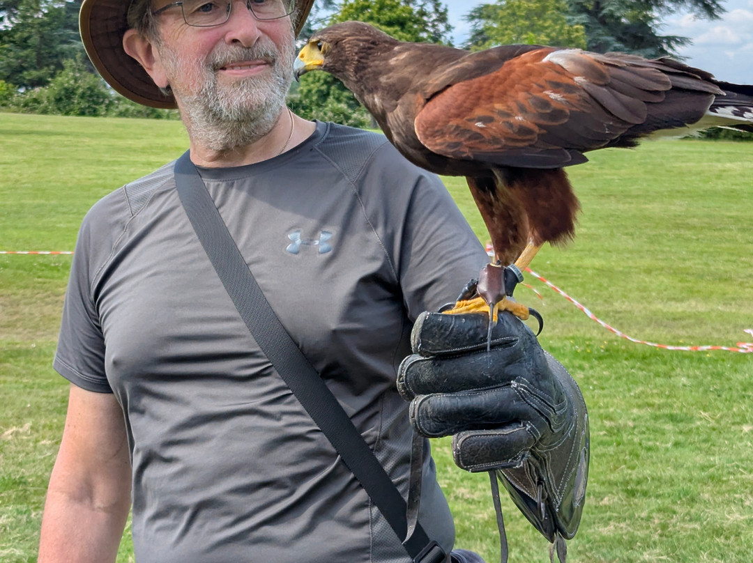 Willows Bird of Prey & Wildlife Trail-Knockholt必去景点