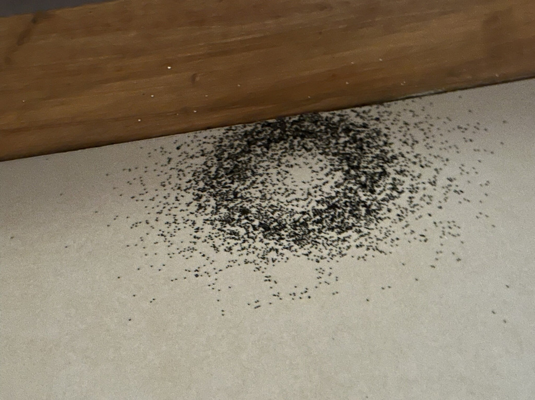 克罗太阳度假酒店主图