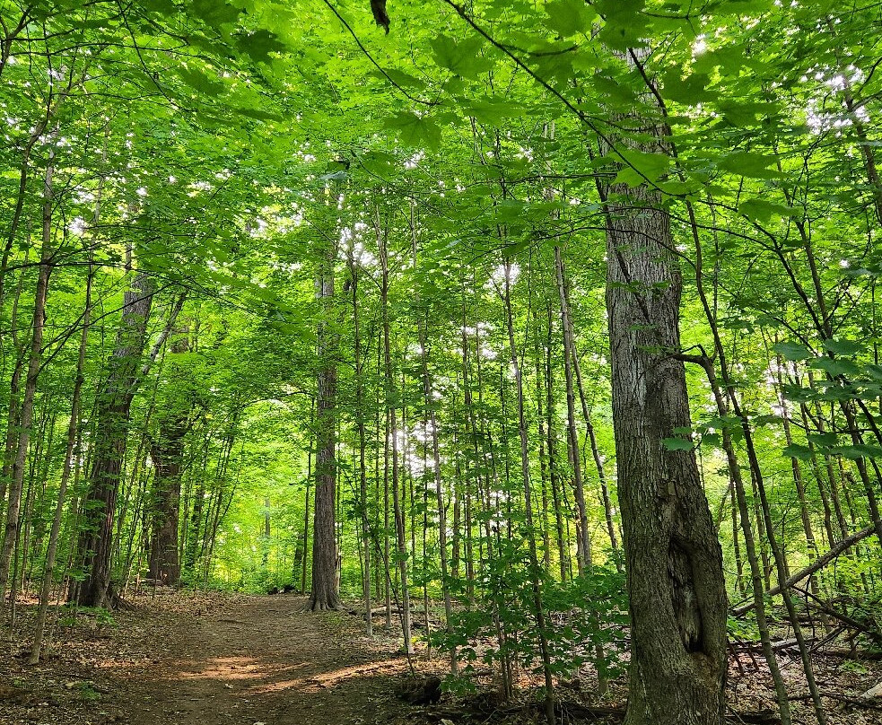 Lakeshore Nature Preserve at University of Wisconsin-麦迪逊必去景点