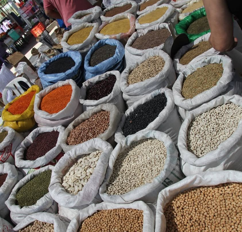 GENESIS-TOURS LTD-Bnei Brak必去景点