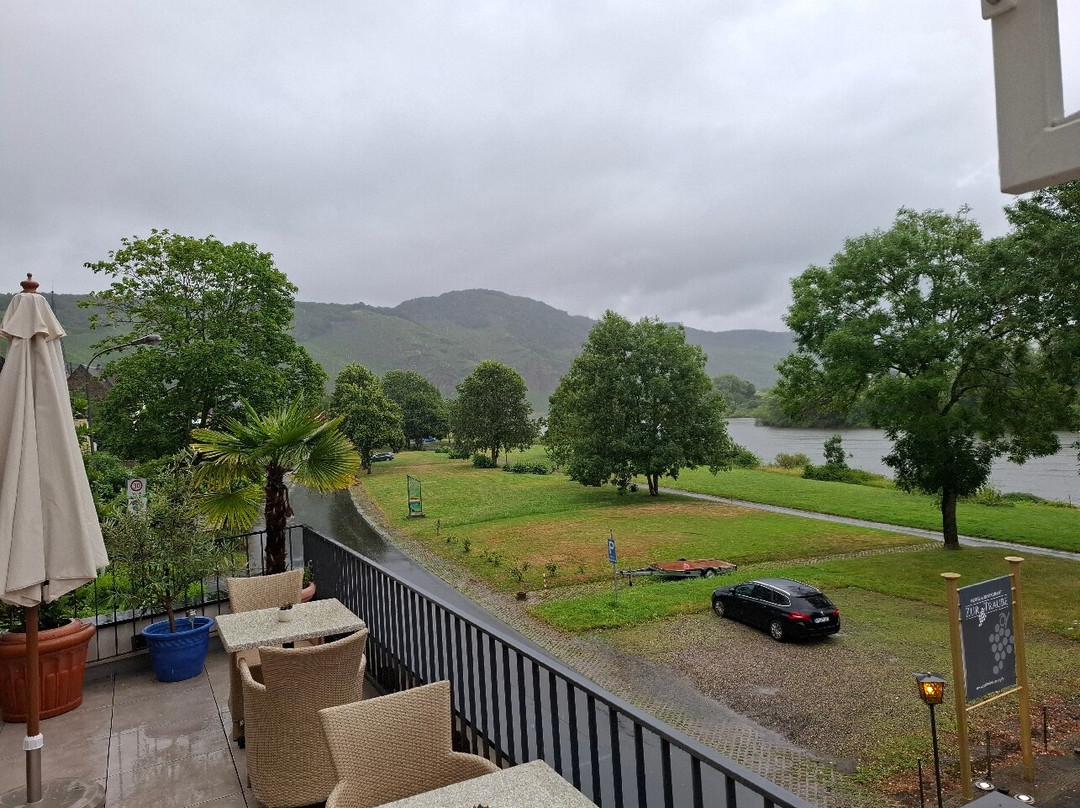 Hotel Zur Traube主图