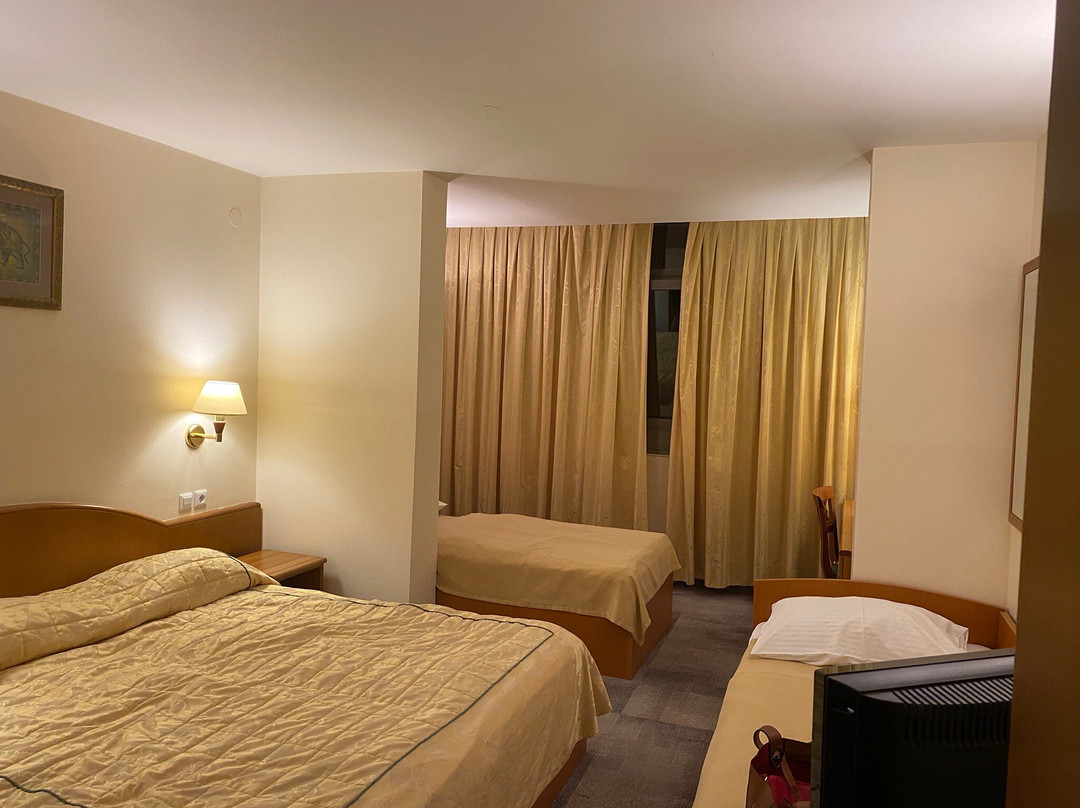 Hotel Mantova - Vrhnika主图