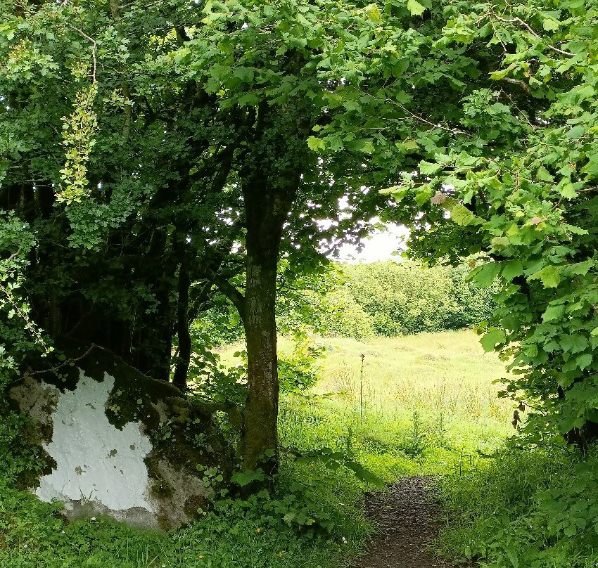 Killykeeghan Nature Reserve-Florencecourt必去景点