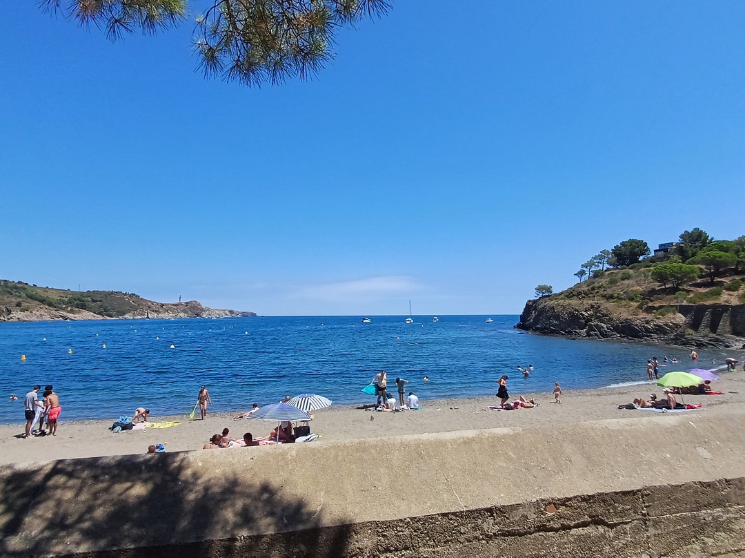 Plage de Paulilles-Port-Vendres必去景点