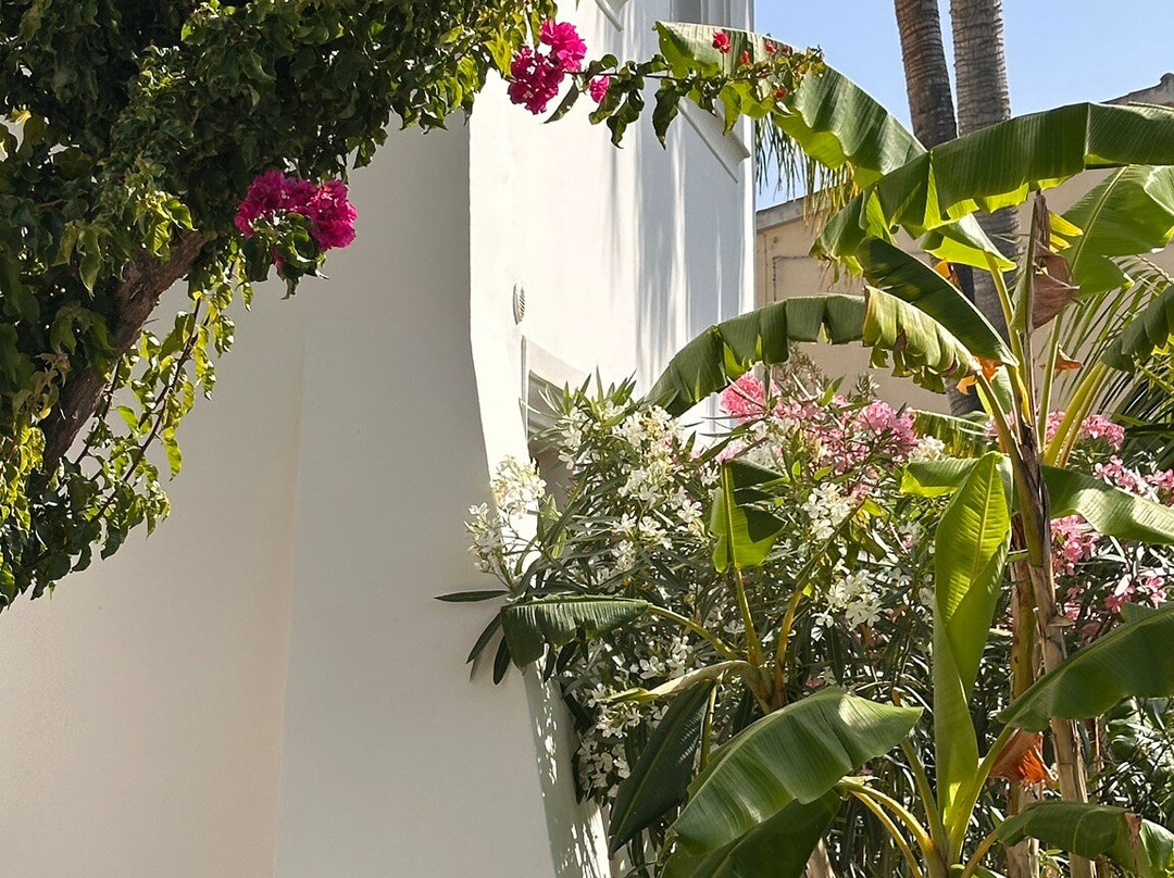 Hotel Vecchia Marina主图