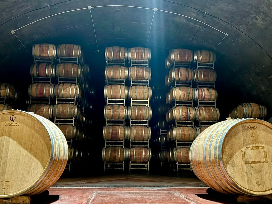 Adora Mendoza-门多萨必去景点