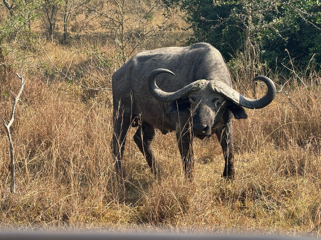 Hyena Hill Lodge主图