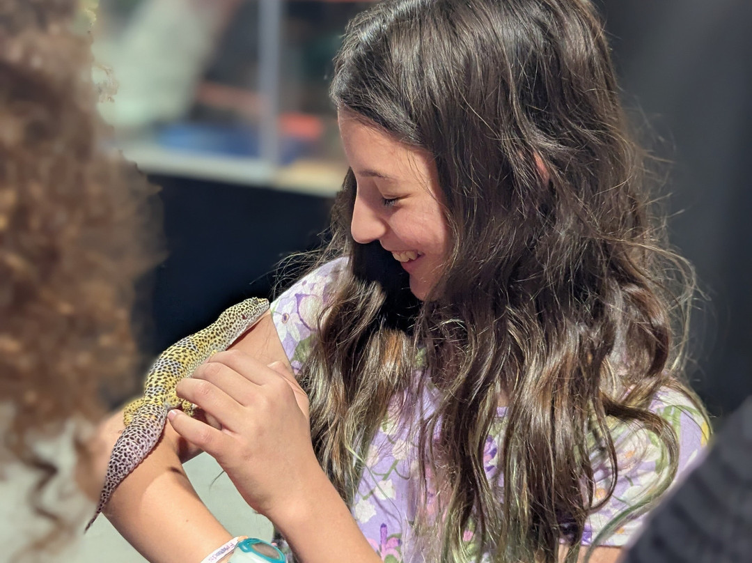 The Biblical Museum of Natural History-Beit Shemesh必去景点