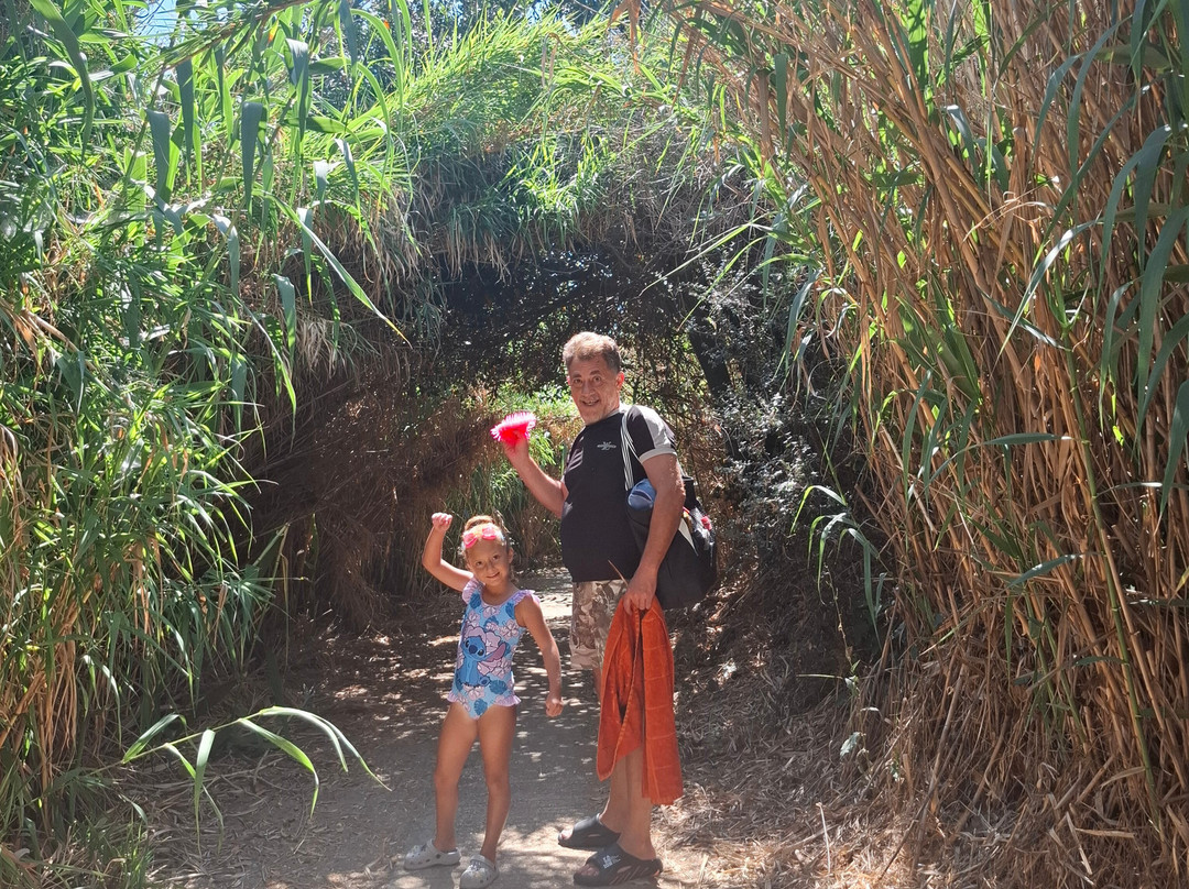 Alexander Beach Hotel & Spa主图