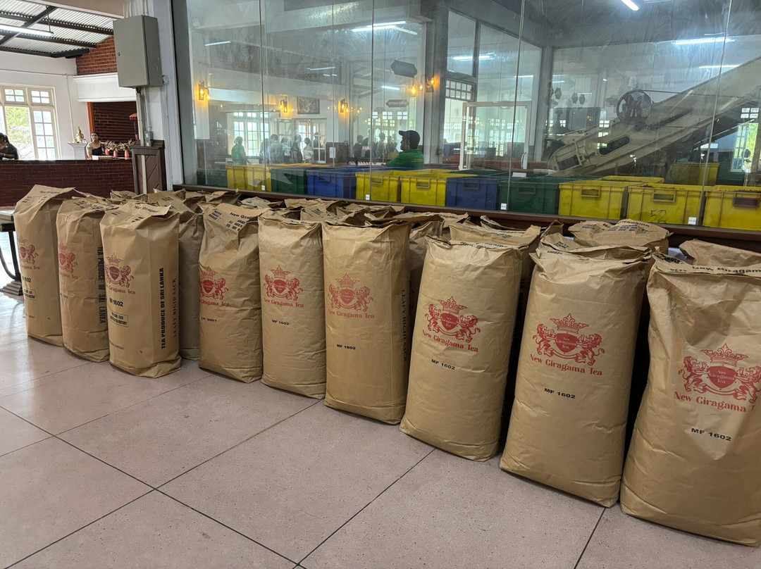 New Giragama Tea Factory