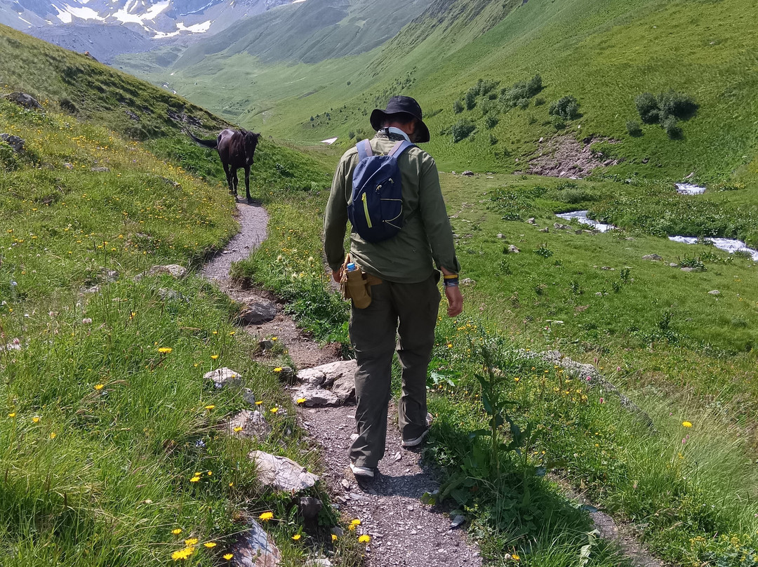 Traffic Travel-第比利斯必去景点