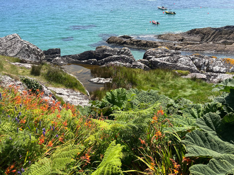 Creagh Travel-科克必去景点