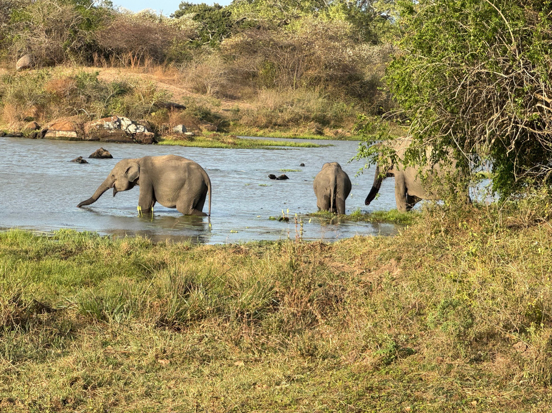 N2 Travels-加勒必去景点