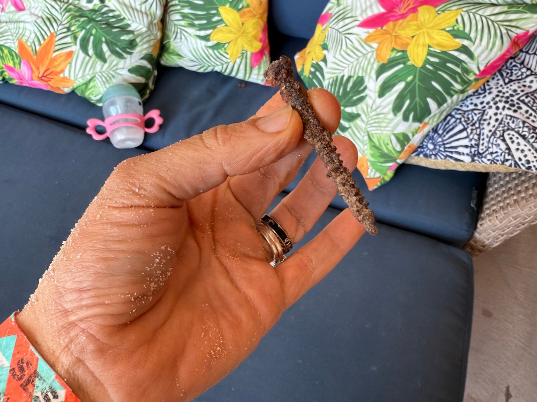 Splash Zone Waterpark-怀尔德伍德必去景点