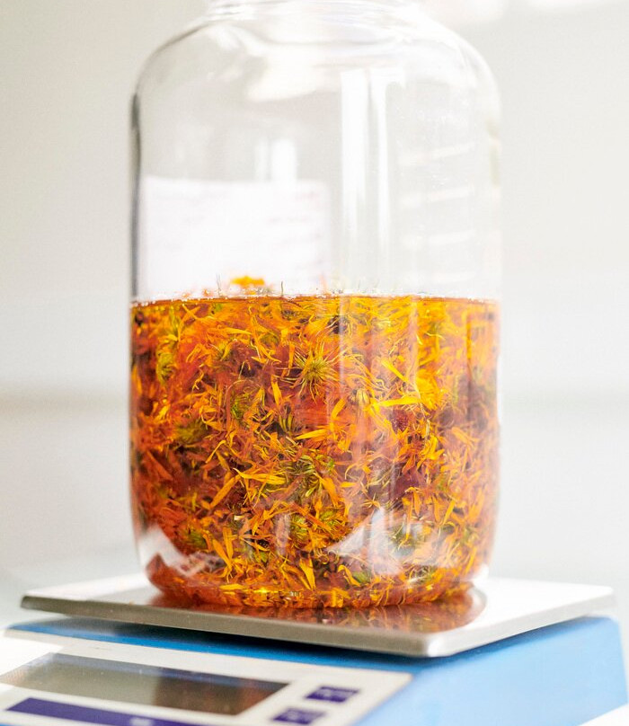 Essences Naturelles Corses-San-Nicolao必去景点