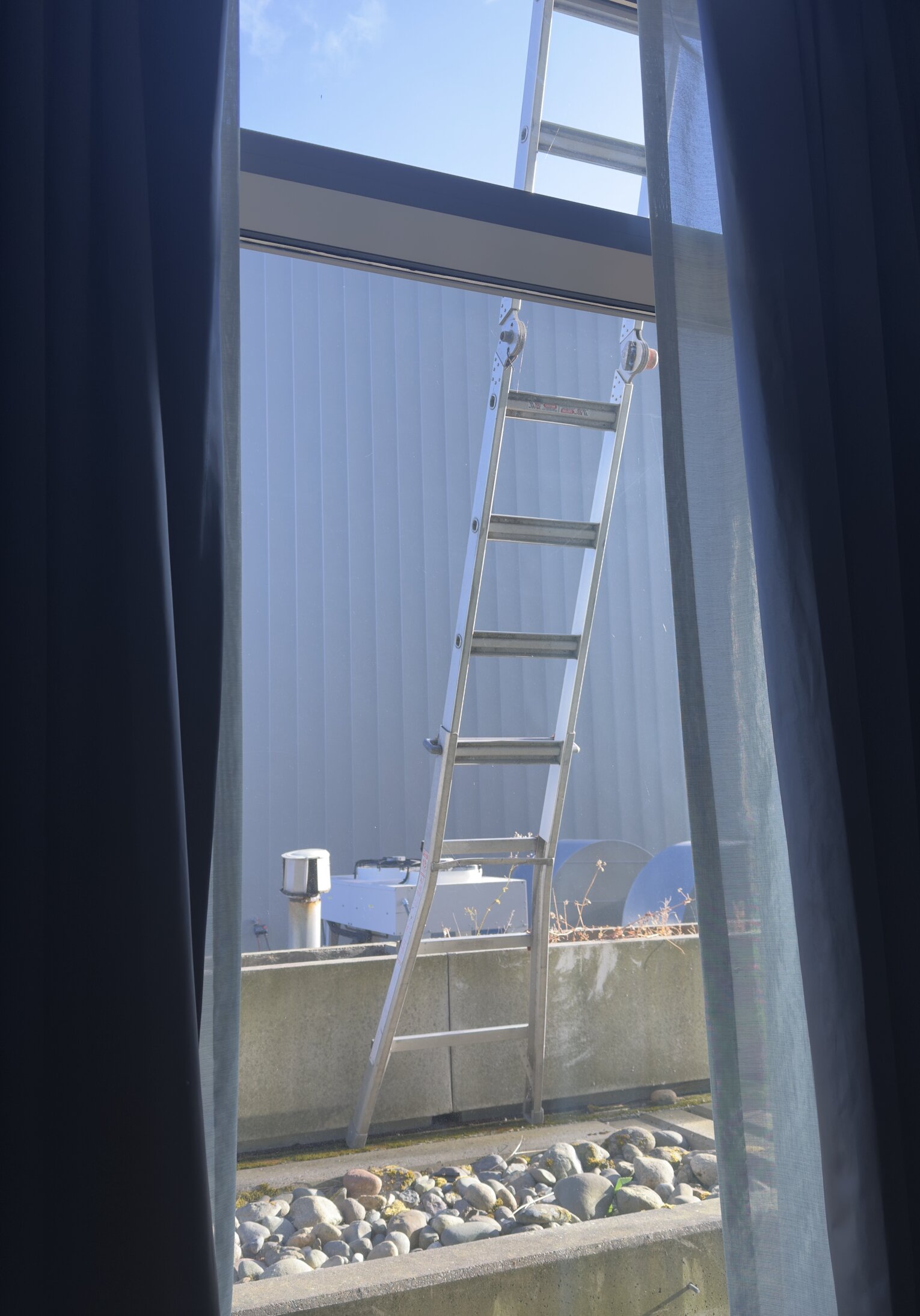 The Westin Bellevue-酒店景观