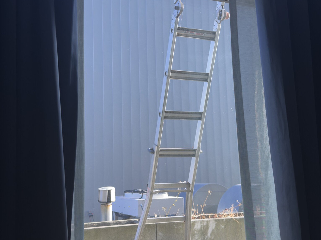 The Westin Bellevue主图