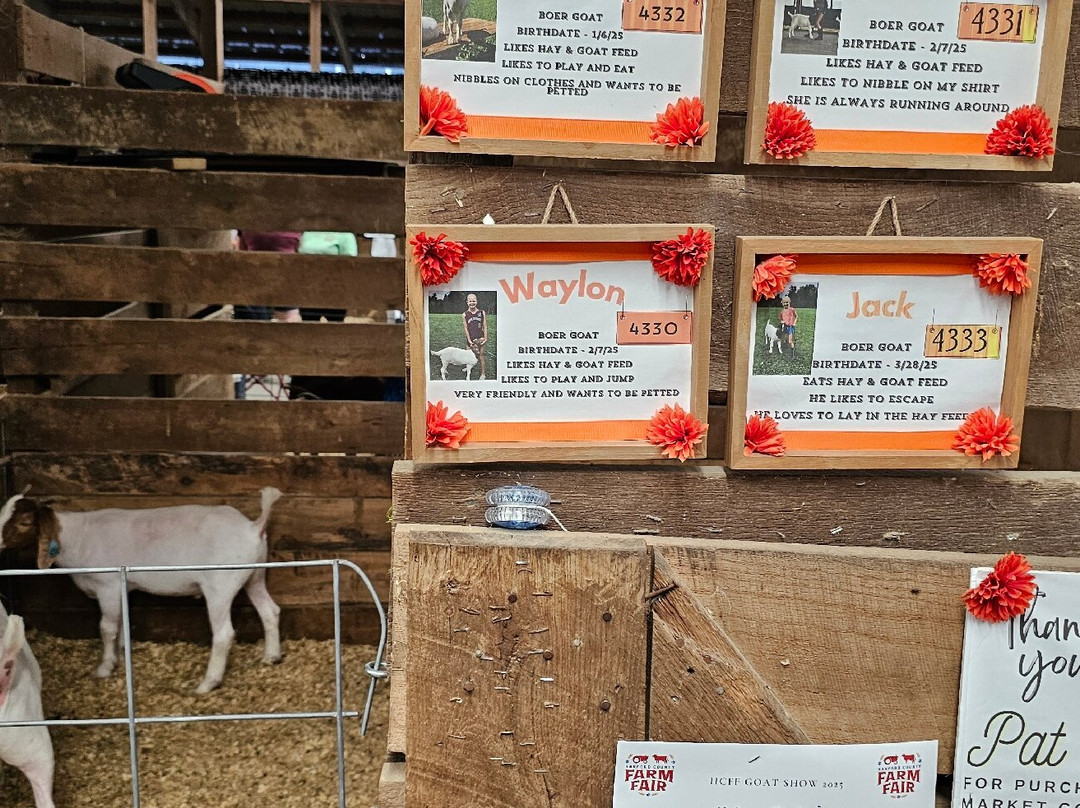 Harford County Farm Fair-Bel Air必去景点