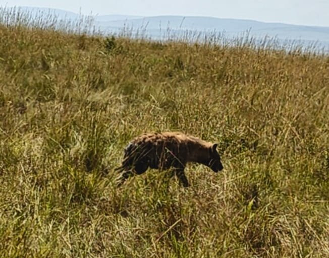 Scope Safaris-Thika必去景点
