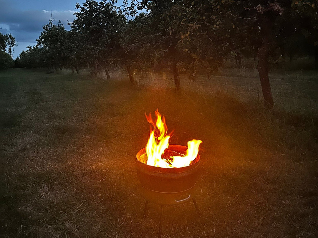 Dorset Nectar Cider-布里德波特必去景点