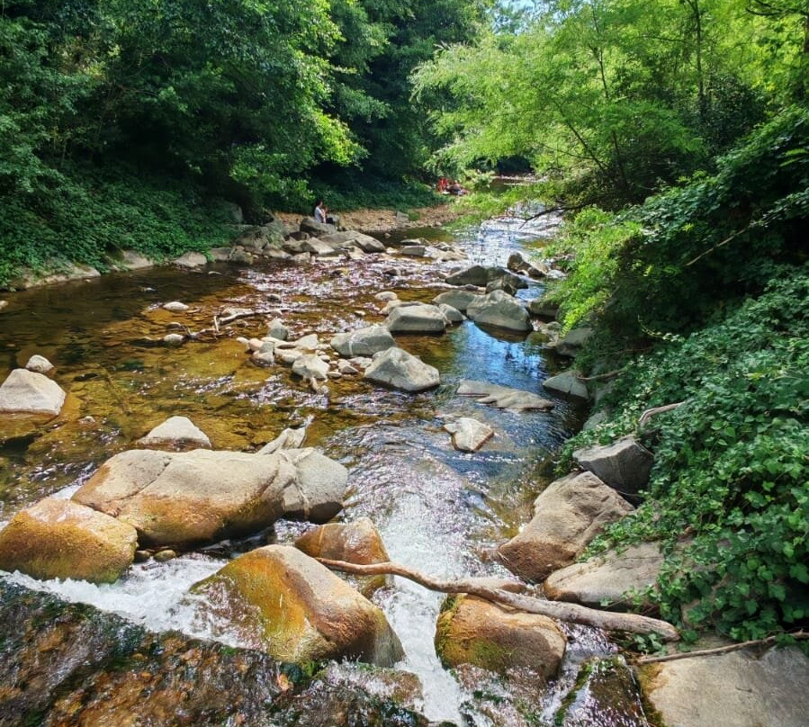 La Ferme Du Facteur Enchantée-Hauterives必去景点