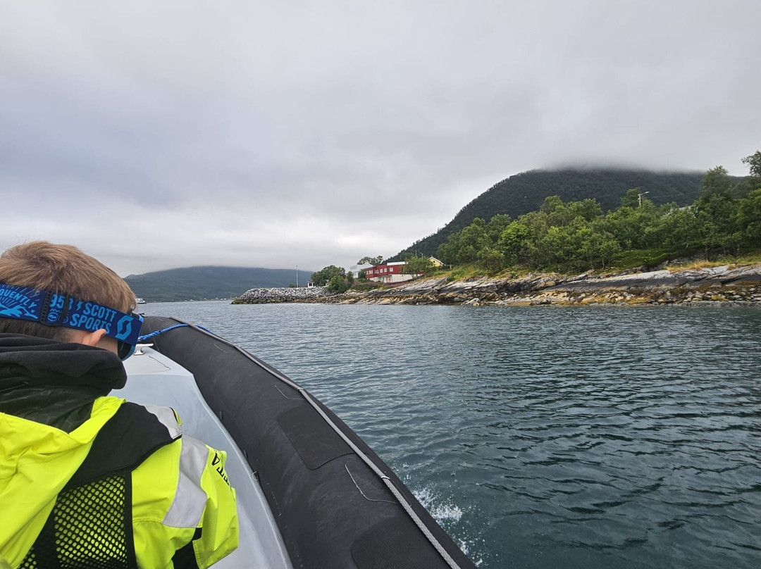 Arctic Aqua-Engenes必去景点