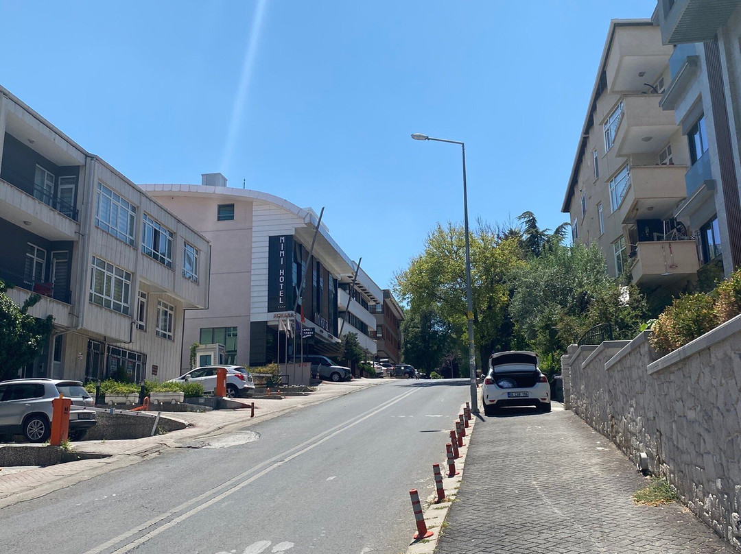 Mimi Hotel Ankara主图