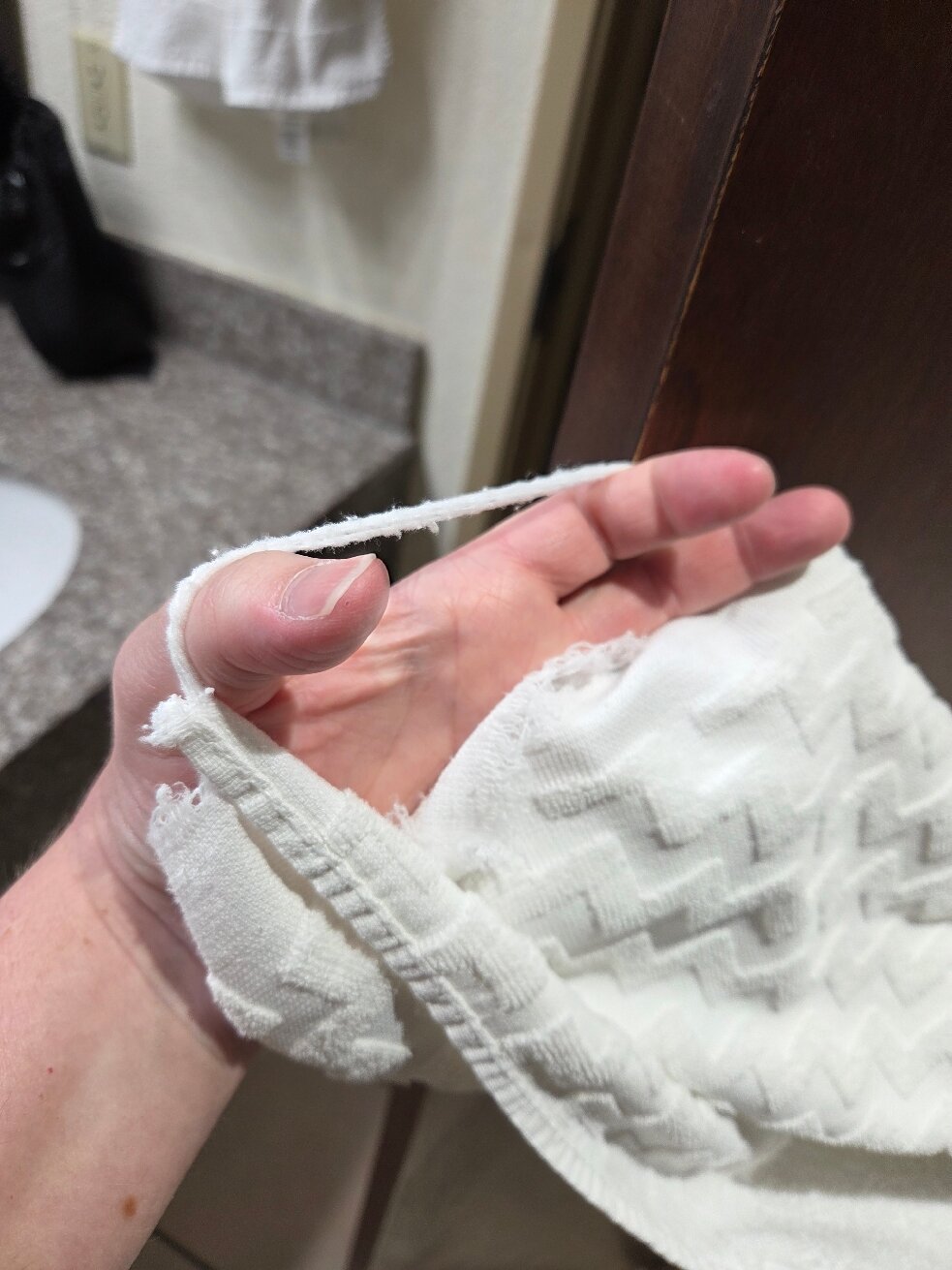 Best Western Plus Shamrock Inn & Suites-官方