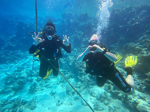 Eagle Divers Egypt-沙姆沙伊赫必去景点
