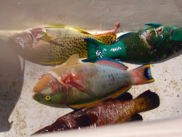 Nosy Fanihy-诺西贝必去景点